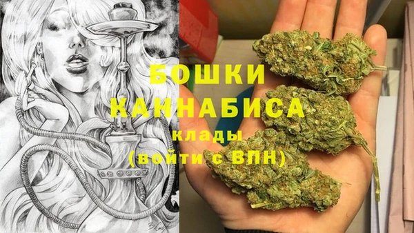 PSILOCYBIN Дмитровск