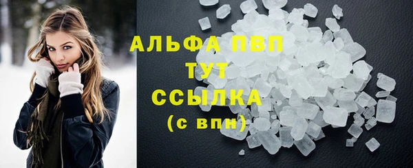 спайс Дмитриев