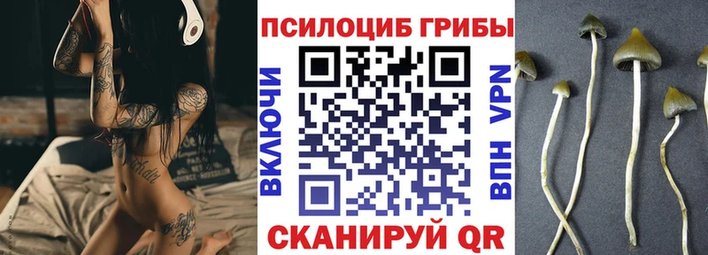 Галлюциногенные грибы GOLDEN TEACHER Кореновск
